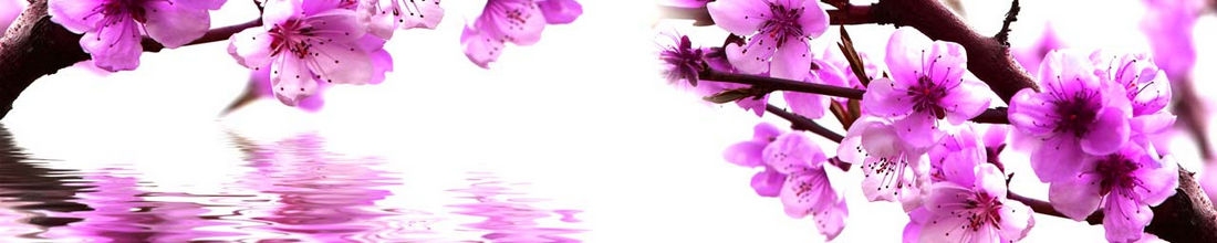 skinali 0671